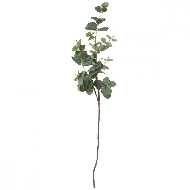 Hovedbilde EUCALYPTUS- GRØNN
