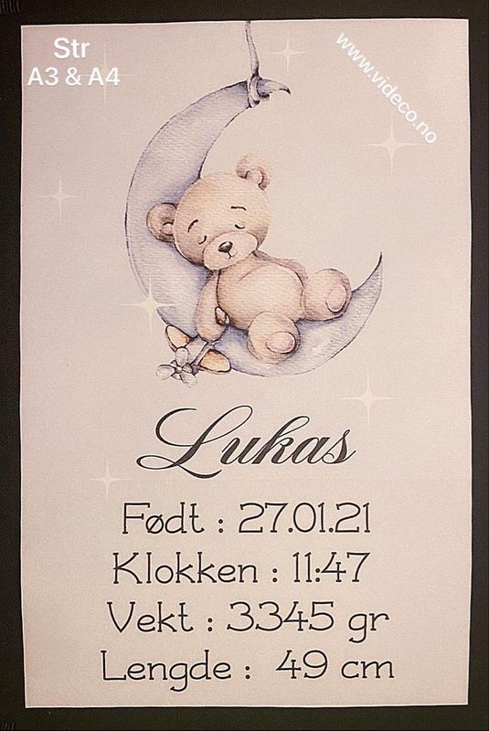 Fødselsplakat m/bilde og info