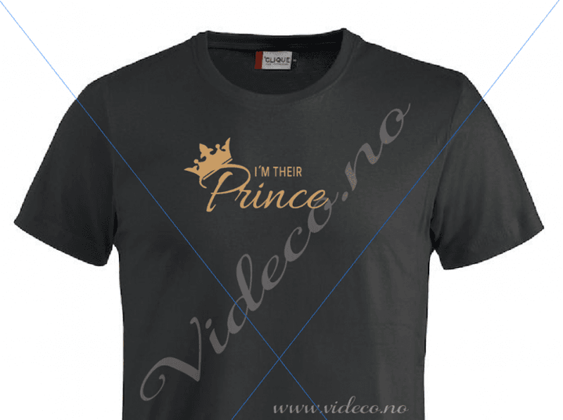 T-shirt,  I´m their prince