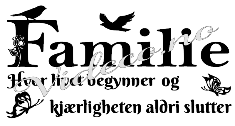 Familie - Hvor livet begynner