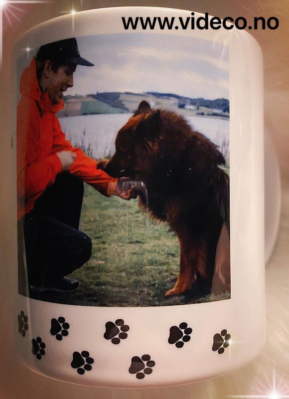 Kopp- Hunde pappsn