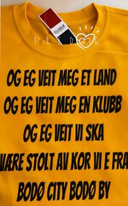 Hovedbilde Eg veit meg et land  -  T-shirt / collage/ Hoodie