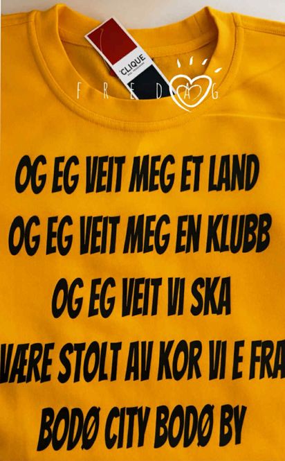 Hovedbilde Eg veit meg et land  -  T-shirt / collage/ Hoodie