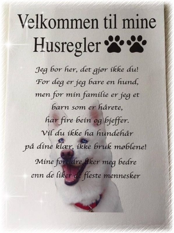 Velkommen til mine husregler Hund/Katt