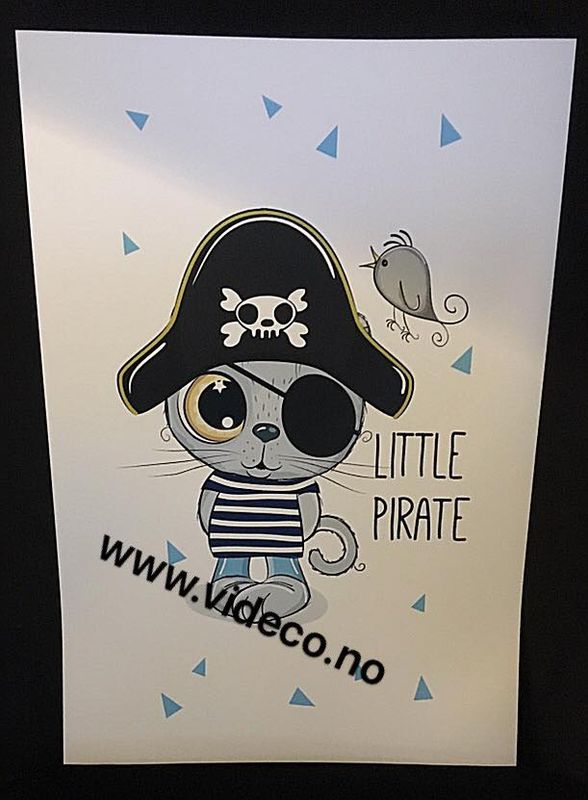 Little pirat, Bilde m/ramme