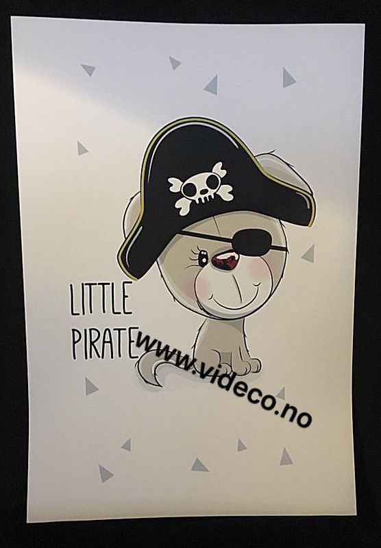 Little pirat, Bilde m/ramme